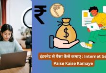 Internet Se Paise Kaise Kamaye Real Method : इंटरनेट से पैसा कैसे कमाए Internet Se Paise Kaise Kamaye
